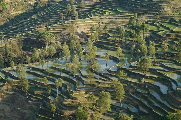 夕陽(yáng)下梯田美景如畫(huà)