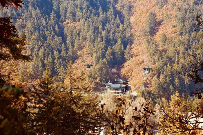 深秋美拉德色系藏在“隴右名山”的風(fēng)景里