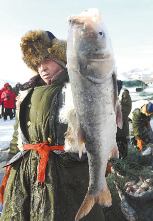 魚(yú)躍冰湖