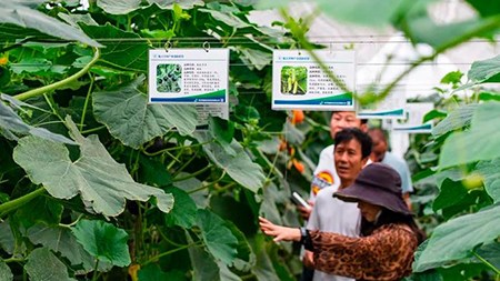 空間站與“卡脖子”，中國在警醒中爭取“逆襲